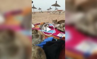 Relaxing on a Turkish beach with new friends