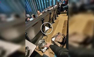 A student brought a live lobster to a lecture and cooked it right in the classroom