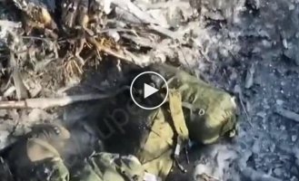 An occupier dies after the explosion of a grenade dropped from a Ukrainian drone