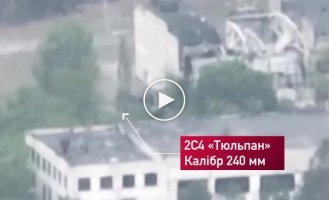 Появилась полная версия уничтожения тяжелого москальского миномета 2С4 Тюльпан