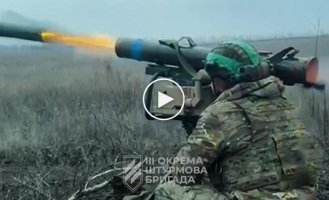 3 ОШБр розбила колону окупантів на Харківщині. Ворог втратив 20 одиниць техніки