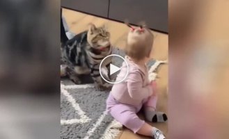 “What strange ears”: a touching game between a cat and a little girl