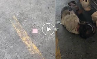 Жительница Таиланда испытала шок от количества денег у уличного попрошайки