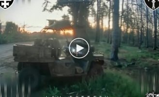 FPV-дрон уничтожил вражеский квадроцикл, припаркованный на краю дороги в лесной полосе
