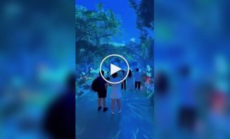 Інший вимір: на відео зняли центр цифрового мистецтва Space and Time Cube & Time Cube, Відео, Люди, Малайзія, у світі, круто, центр цифрового мистецтва