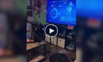 Кіт освоює нові рухи