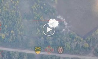 Ukrainian artillery destroys a Russian self-propelled mortar 2S4 "Tulpan" in the Eastern direction