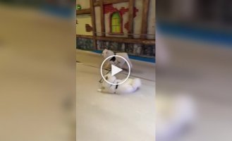 Не каждого пса можно заставить работать в праздники