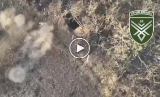 The occupier burns in the woods and then explodes