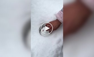 Perfect snowball