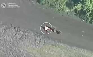 Our soldiers destroyed 7 trucks, a loaf of bread, 3 communication antennas and eliminated about 10 Russians in the Kharkiv region