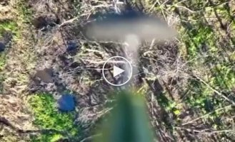 Ukrainian drone drops ammunition on Russian military in Donetsk region