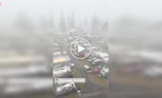 В Австралії кран зламався навпіл і кілька днів висить над туристичним парком