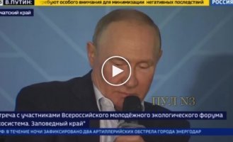 Путин заявил, что «добровольцы ОРДЛО» воюют лучше, чем профессионально подготовленные российские военные