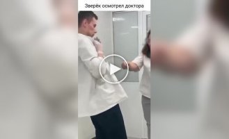 Ласка провела огляд ветеринара перед початком процедур