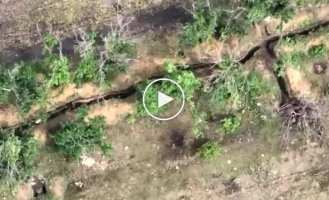 Close encounter with a drone in a trench