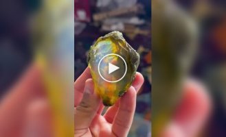 Beautiful and amazing (short videos). Release 57