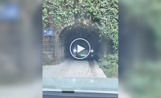 Знаменитый узкий тоннель в Чунцине