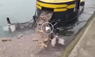 Robot vacuum cleaner for river cleaning