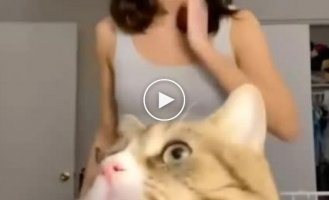 What did this cat see?