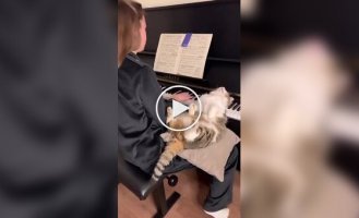 Главный ценитель прекрасного