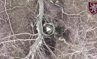 Ukrainian drone drops a grenade on an African mercenary in the Donetsk region