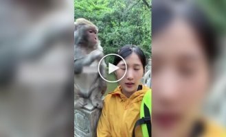 В Китае нашли уличную обезьянку, которая занимается «бизнесом»