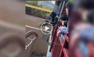 Слон из китайского зоопарка вернул кепку туристу и станцевал от радости