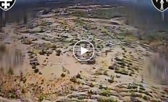Оператор дрона-камикадзе попадает в оккупанта, который вылез из укрытия