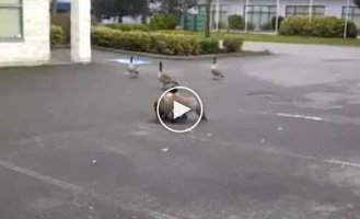 Неожиданный финал
