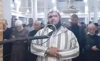Muslim cat at prayer