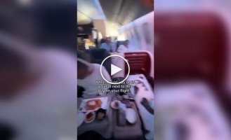 Мужчина купил для своего кота билет бизнес-класса