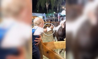 The warmest scene of the day: a toddler hugging a horse conquered the Internet