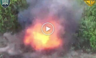 Птахи Мадяра дроном-камикадзе ликвидировали российского солдата: от удара его тело почти разорвало