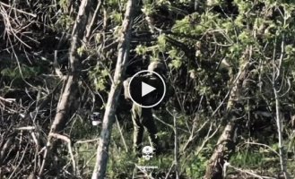Дрон-камикадзе бойцов 72-й ОМБр ликвидировал оккупанта, который стоял и не шевелился