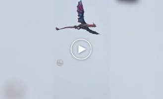 Житель Китая создал эффектного дракона из пенопласта