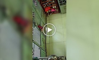 О пользе кошек наглядно