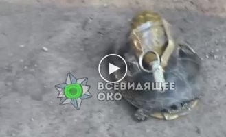 This is what Russian soldiers do with animals before they leave the occupied territory