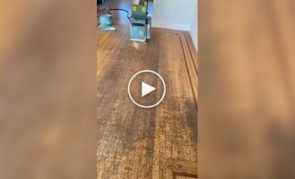 How to restore wood parquet floors