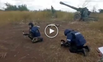 Премия Дарвина сегодня присуждается российским военкорам за их способы выбирать локации для съемок сюжетов