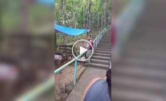 Staircase in the forest