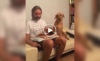 Пес-актор: я не дивлюся на твою їжу