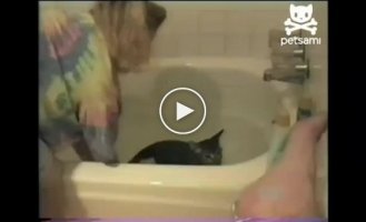 Кот заставил хозяйку искупаться тоже