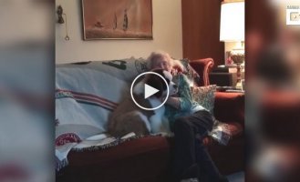 Крепкая дружба между песиком и бабушкой