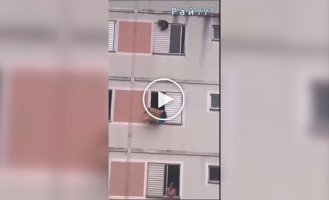 Драматичний порятунок пса в Бразилії