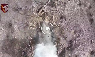 Soldiers of the 79th Special Airborne Brigade use drone drops to eliminate the invaders attacking in the Novomikhailovka area