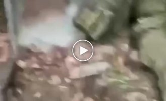 Підбірка відео з полоненими та вбитими в Україні. Випуск 43