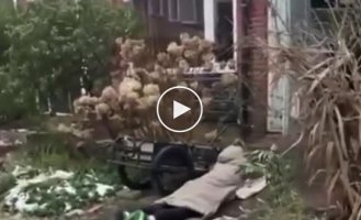 You can only drag your wife into the house on an ice sled