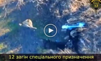 Ukrainian defenders destroyed enemy ATGMs, infantry fighting vehicles, armored personnel carriers, armored fighting vehicles and an occupying tank