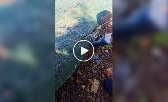 Treasure hunters have a stroke of luck